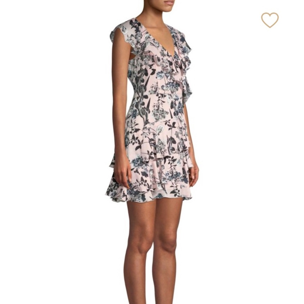 NWT - Parker - Dorothy Ruffle Fit & Flare Dress